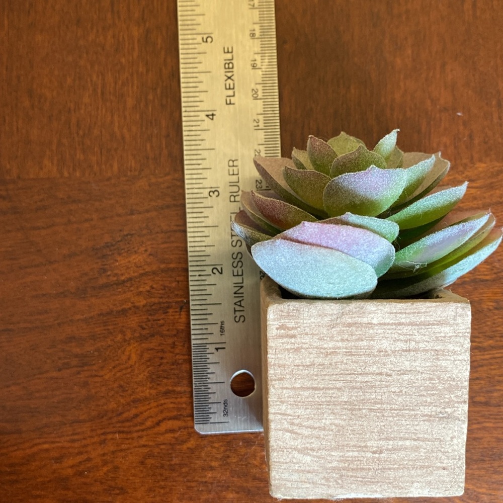 Faux Succulents set of two. EUC - Picture 6 of 8